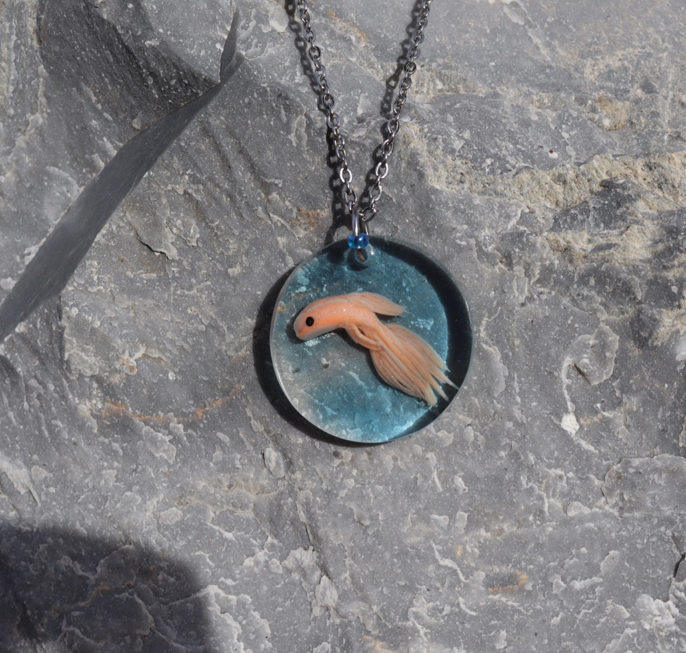 Poisson voile
